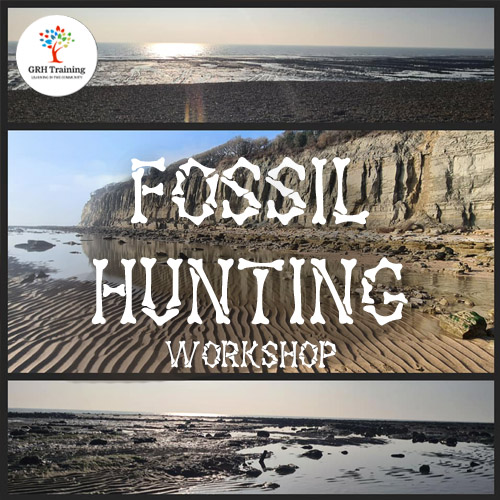 Fossil Hunting Workshop - GRH Training